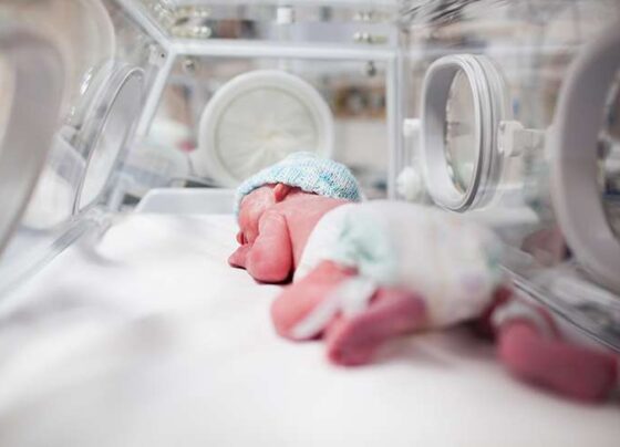 Faltam leitos de UTI neonatal em Mato Grosso