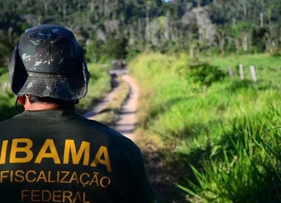 CNN Brasil