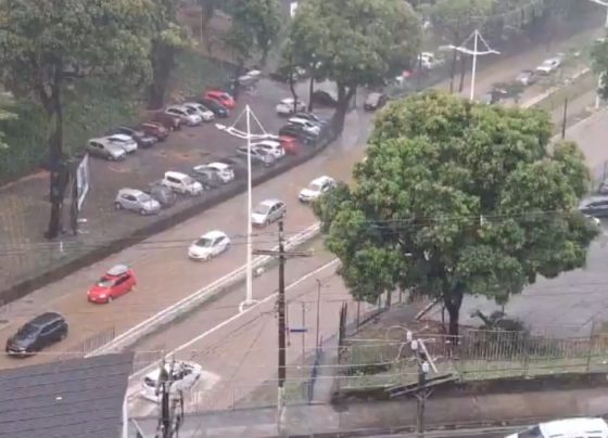 CNN Brasil