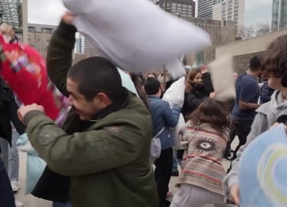 CNN Brasil