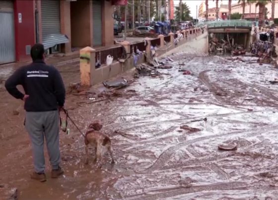 CNN Brasil