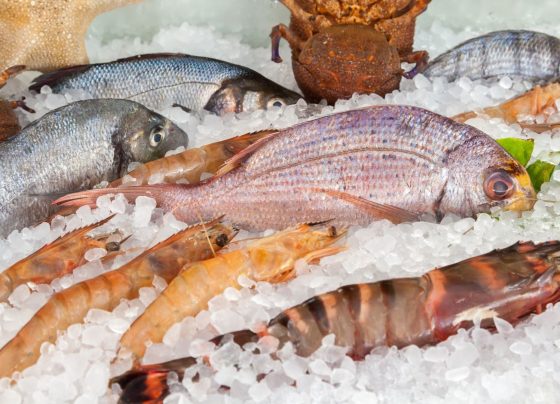 Semana do pescado