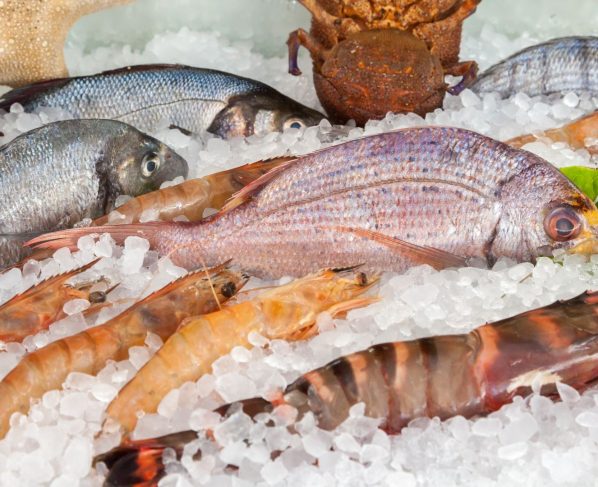 Semana do pescado