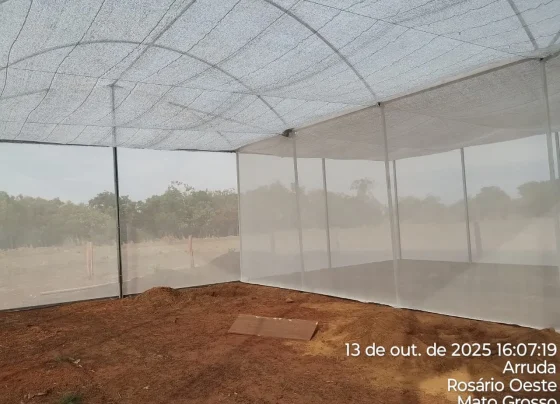 Projeto de aquaponia impulsiona agricultura familiar em Mato Grosso