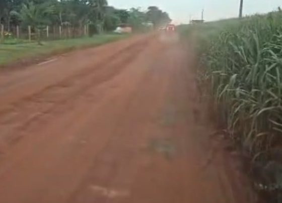 Mulher morre e homem fica gravemente ferido em acidente com caminhonete em estrada rural de Lucas do Rio Verde