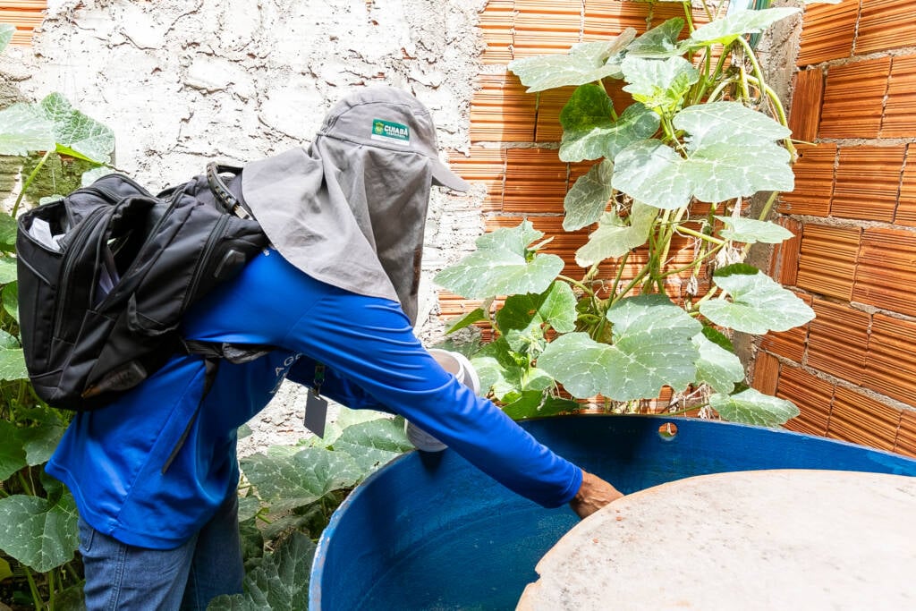 Casos de Chikungunya