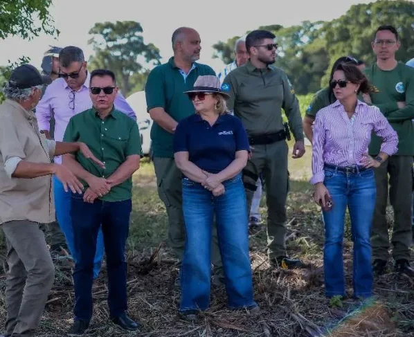 Pantanal entra em revisão após fiscalização da Sema