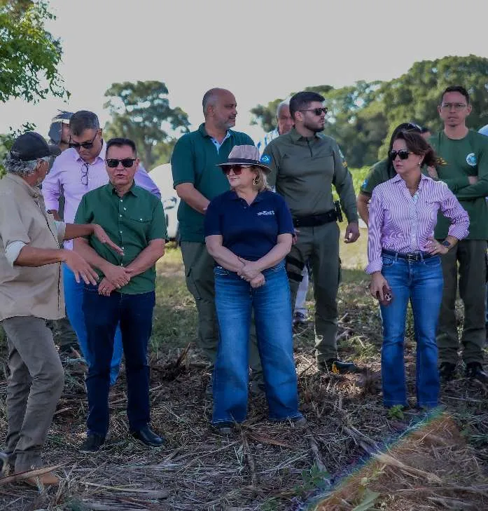 Pantanal entra em revisão após fiscalização da Sema