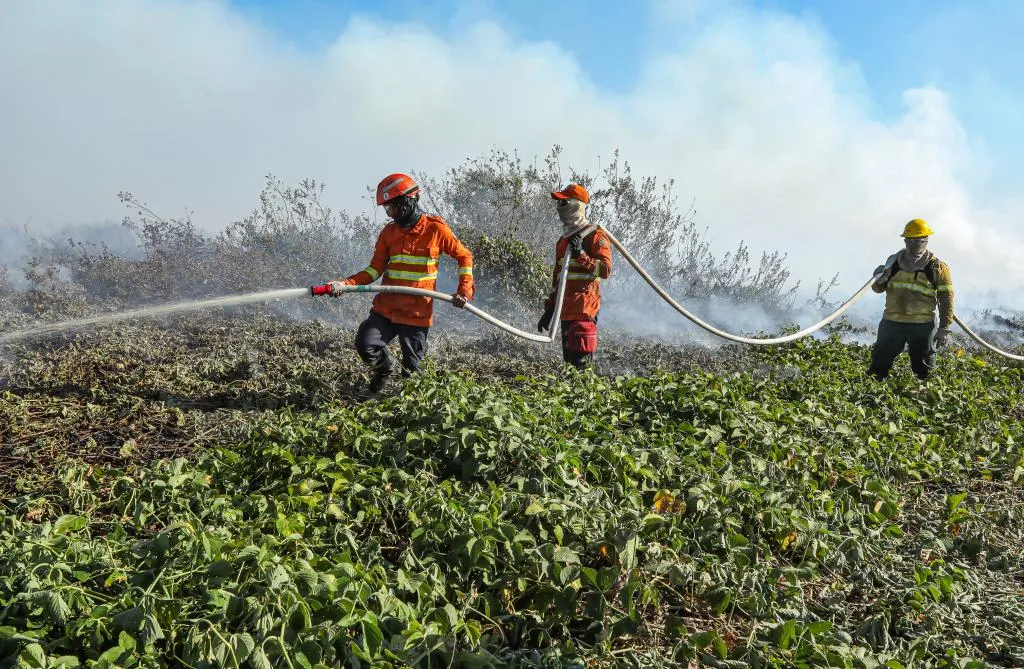Brigadistas temporários em Mato Grosso