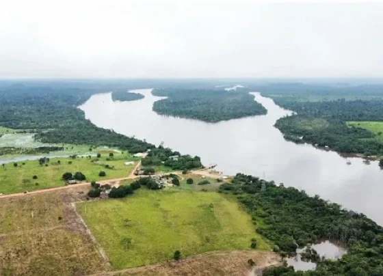 Mato Grosso e do Pará