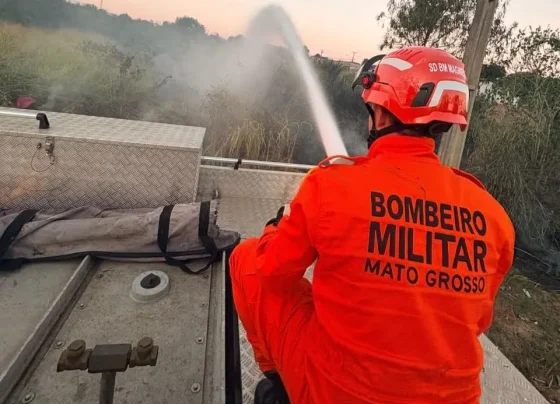 Incêndio em vegetação em Campo Verde mobiliza Bombeiros de MT