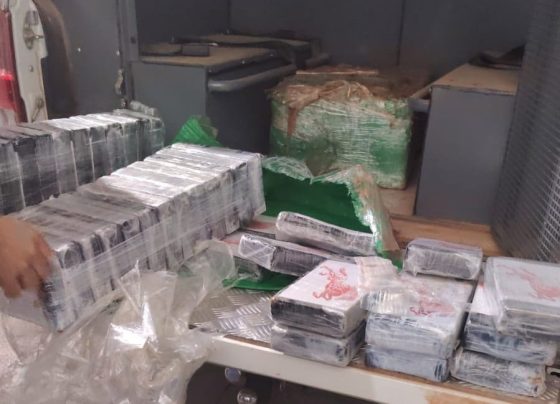 Avião acidentado em área rural escondia carga de cocaína e dois corpos em decomposição em Mato Grosso