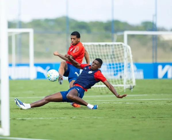 Bahia x Chapecoense: onde assistir ao vivo, horário e prováveis escalações do duelo pelo Brasileirão. Imagem: Catarina Brandão/EC Bahia