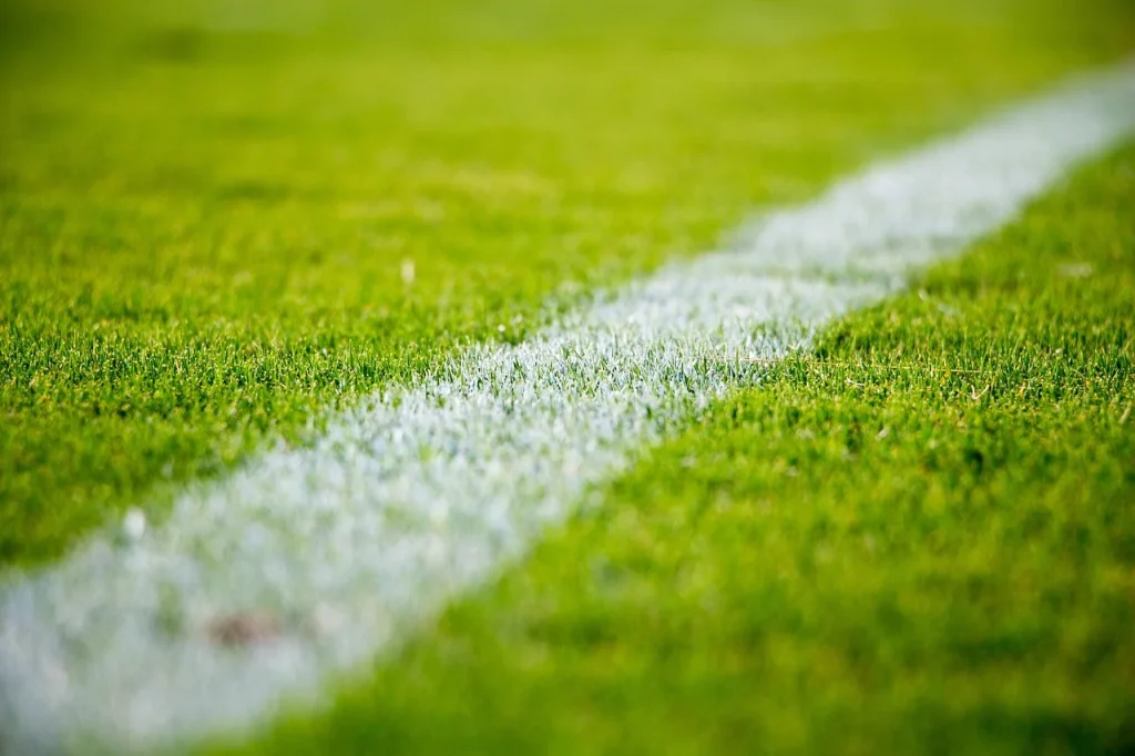 Confira a agenda completa de jogos do dia. Imagem: Pixabay