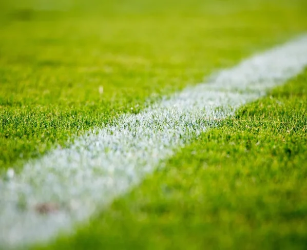 Confira a agenda completa de jogos do dia. Imagem: Pixabay