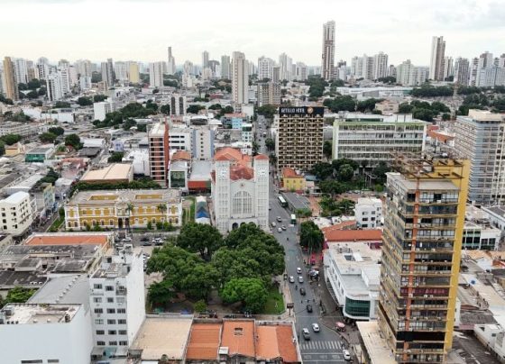 MPMT requer na Justiça suspensão de cortes de árvores em Cuiabá