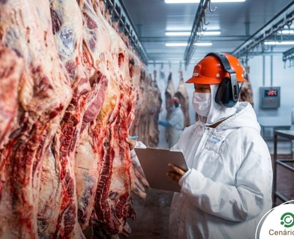 Homem chinês trabalhando com carne bovina em Frigorífico