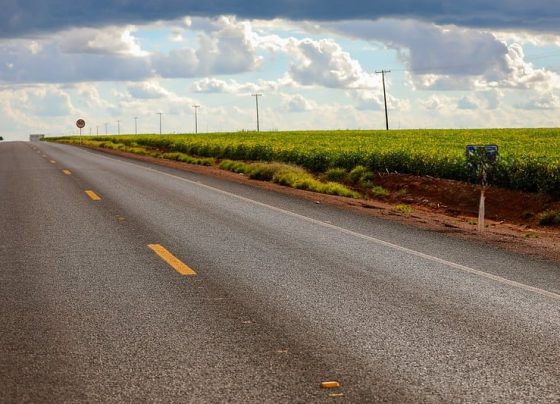 Produtores podem continuar utilizando faixas de domínio em rodovias federais concedidas