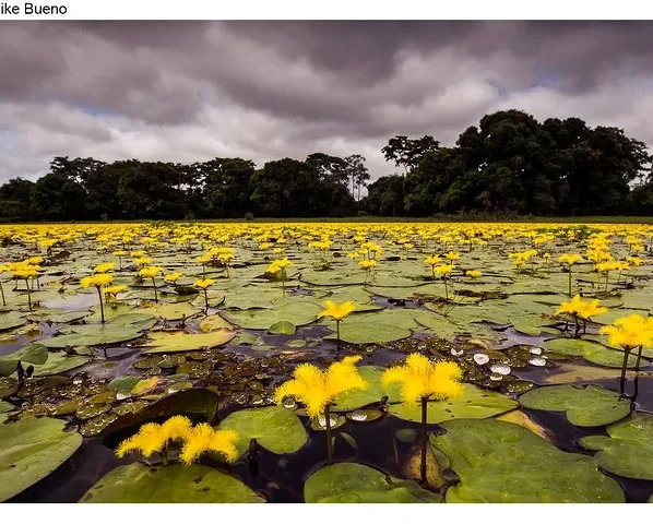 áreas turísticas naturais de Mato Grosso