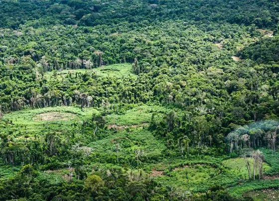Amazônia tem espécies catalogadas por indígenas
