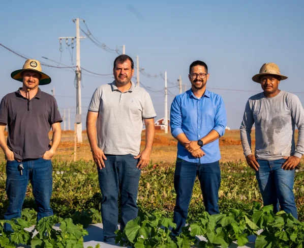 Campo experimental da Secretaria de Agricultura e Meio Ambiente prepara novas tecnologias para o Show Safra 2027