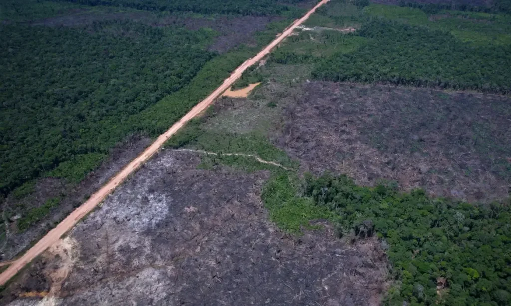 Desmatamento na Amazônia cai ao menor nível desde 2016