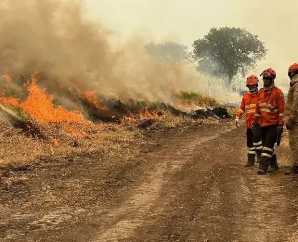 Incêndio em Mato Grosso