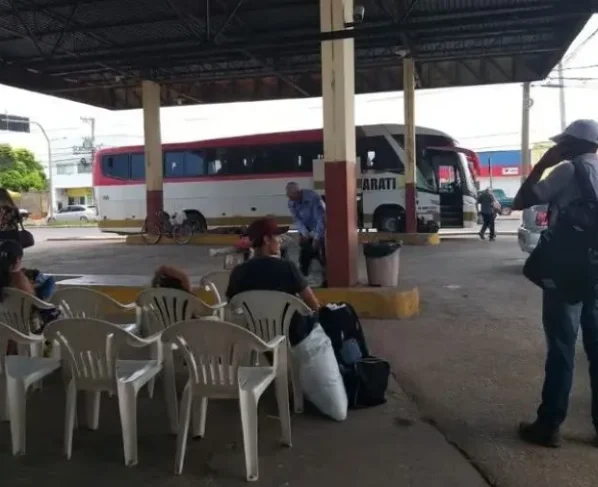 Ministério Público de Mato Grosso (7)