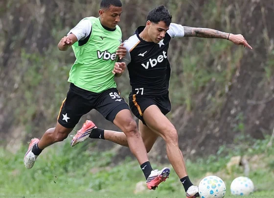 Botafogo x Palmeiras: onde assistir ao vivo pelo Brasileirão. Imagem: Vitor Silva/BFR