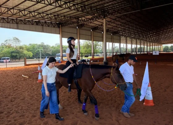 Equoterapia