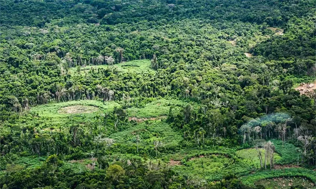 Restauração indígena pode recuperar 1,79 milhão de hectares