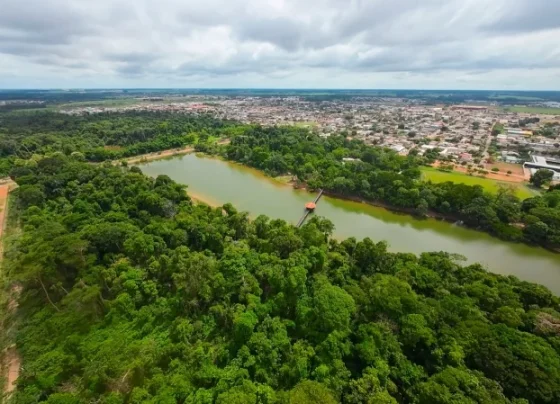 Dia da Árvore