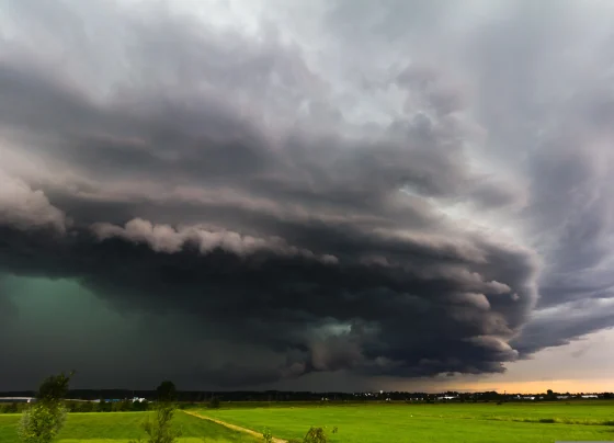 Temporal (1)