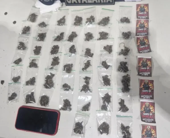 46 porções de maconha apreendidas organizadas em cima de mesa