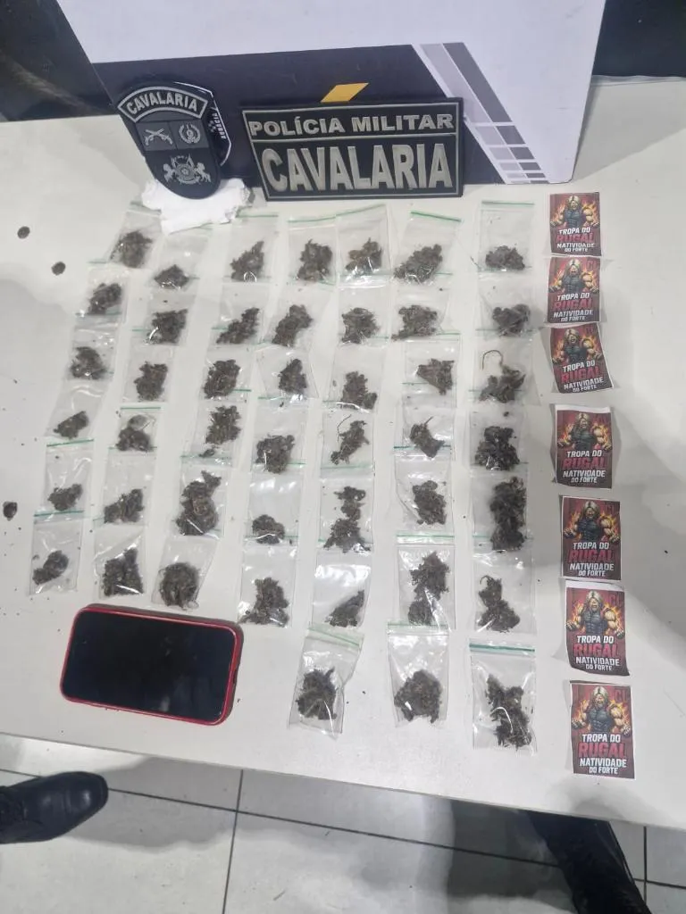 46 porções de maconha apreendidas organizadas em cima de mesa