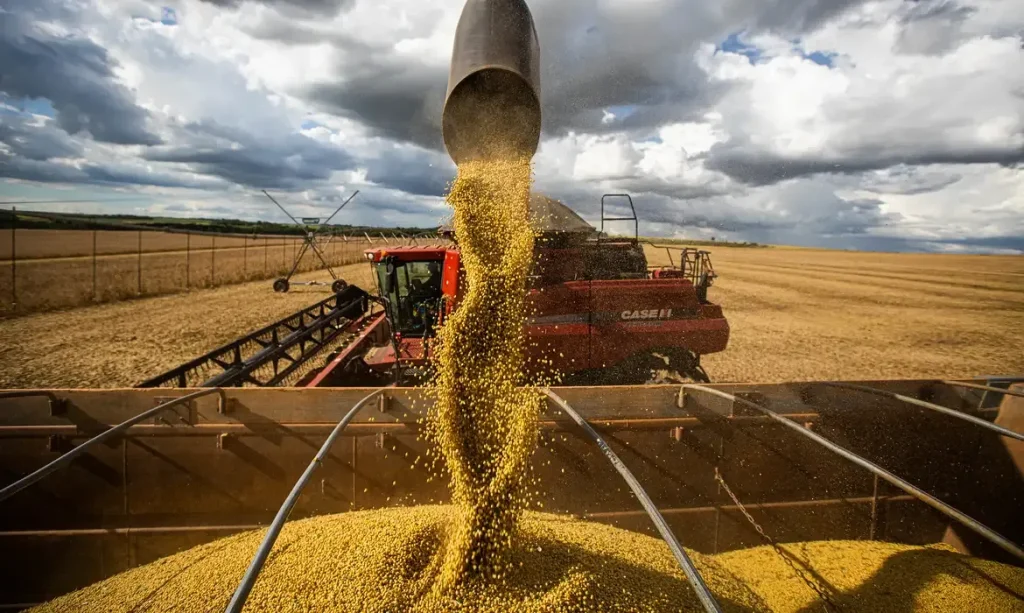 PIB DE MATO GROSSO