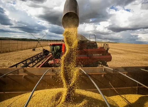 PIB DE MATO GROSSO