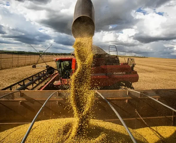 PIB DE MATO GROSSO