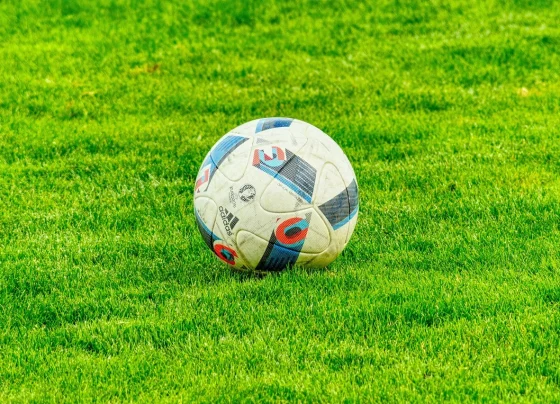 Confira a agenda completa de jogos do dia. Imagem: Pixabay