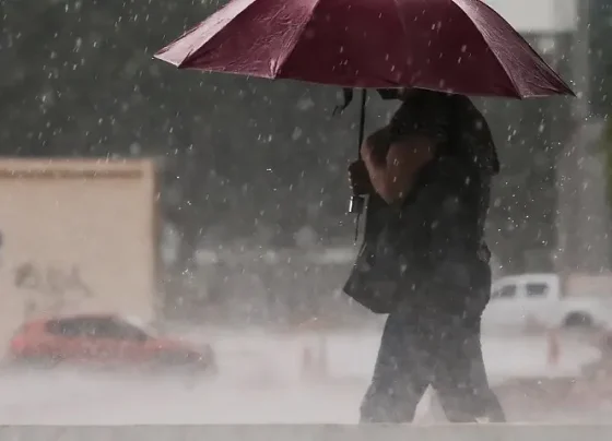 Chuva (1)