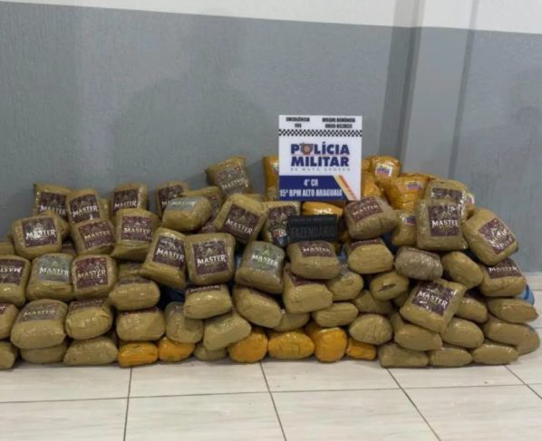 Caminhoneiro é preso em MT ao transportar 202 kg de skunk em carga de milho