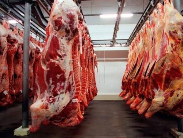 Campo Novo registra US$ 948,7 milhões em exportações de carne bovina