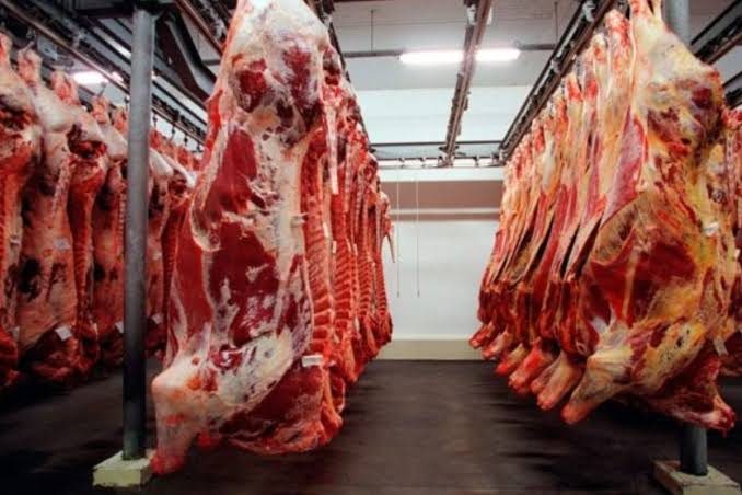 Campo Novo registra US$ 948,7 milhões em exportações de carne bovina