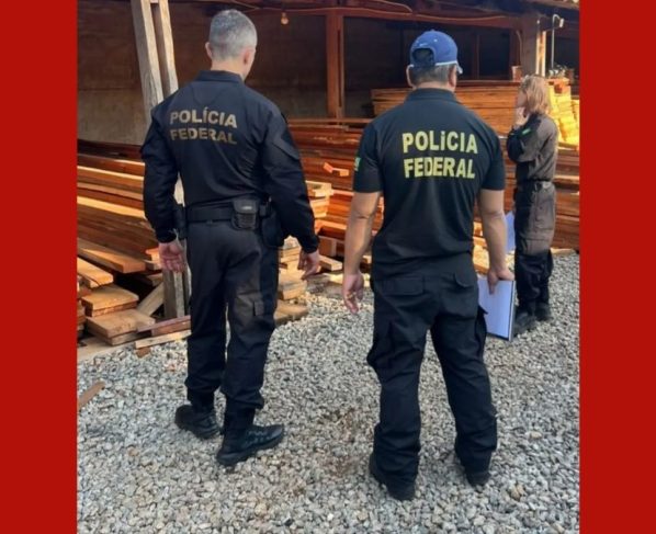 Comércio ilegal de madeira em MT, GO e MG é alvo de operação da Polícia Federal