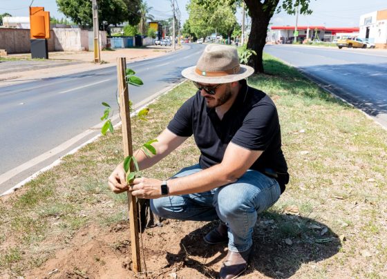 Cuiabá supera marca de mil árvores plantadas em outubro