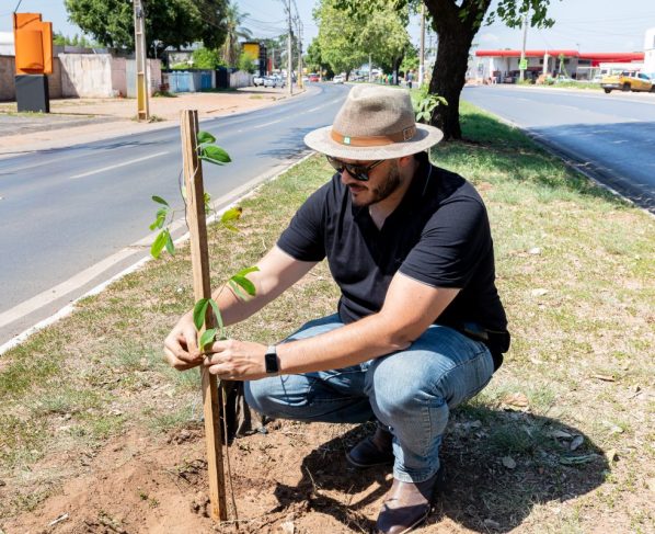 Cuiabá supera marca de mil árvores plantadas em outubro