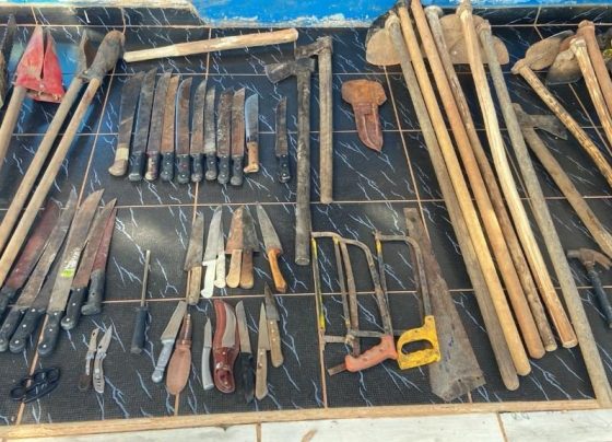 Forças de segurança de Mato Grosso já frustraram 12 invasões de terras este ano