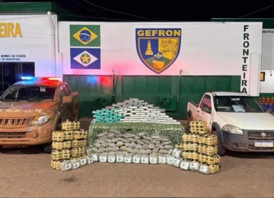 Gefron apreende 250 kg de drogas e causa prejuízo de R$ 690 mil ao crime em Vila Bela
