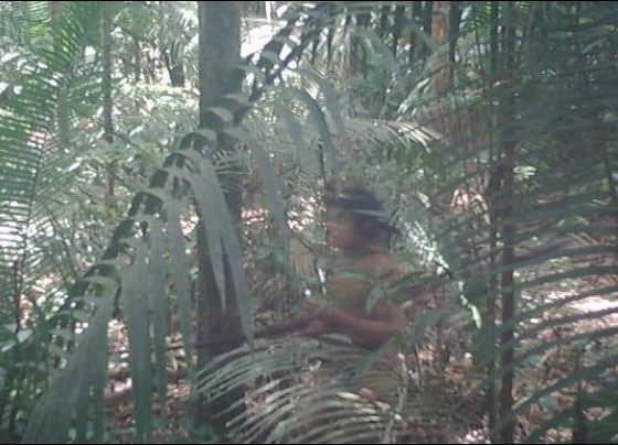 Justiça manda retirar gado e invasores de terra indígena em Mato Grosso onde vive povo isolado