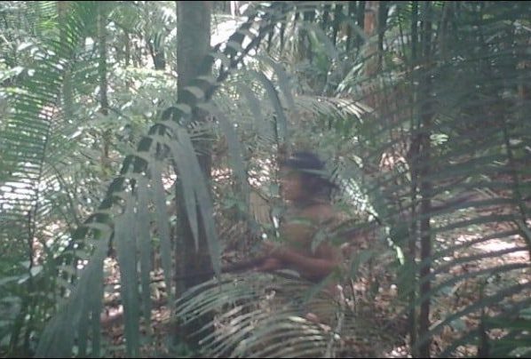 Justiça manda retirar gado e invasores de terra indígena em Mato Grosso onde vive povo isolado